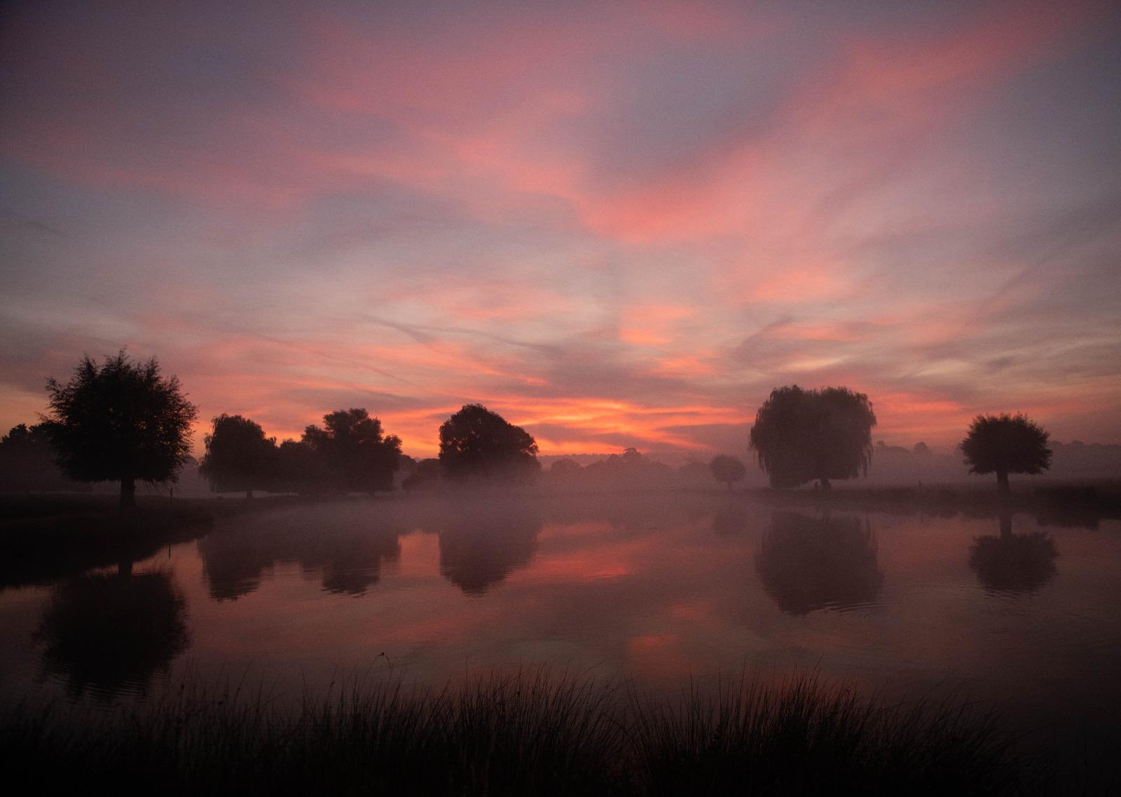 Misty pond reflecting a colourful sunset